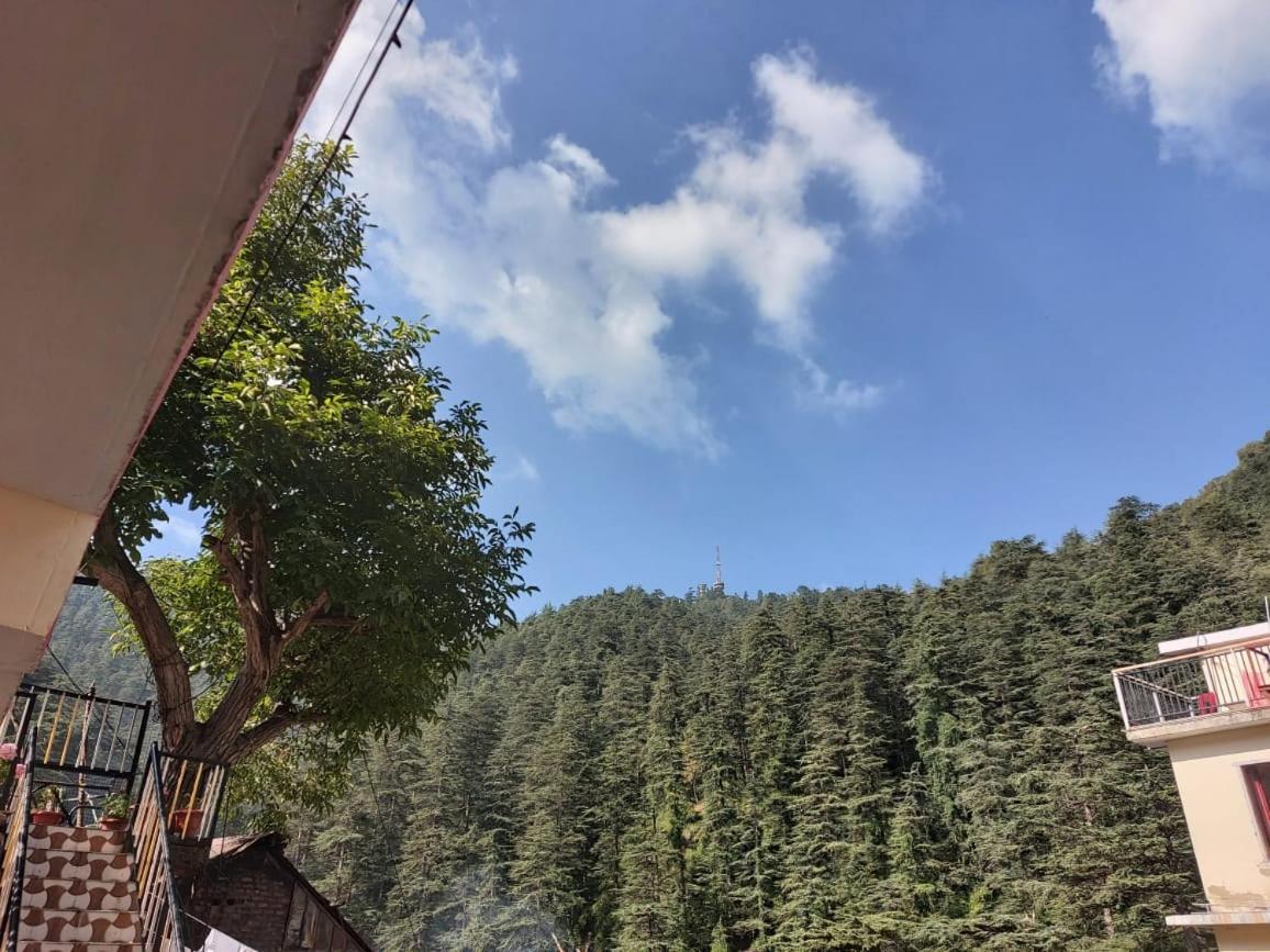 Shimla Pines Homestay Exterior foto